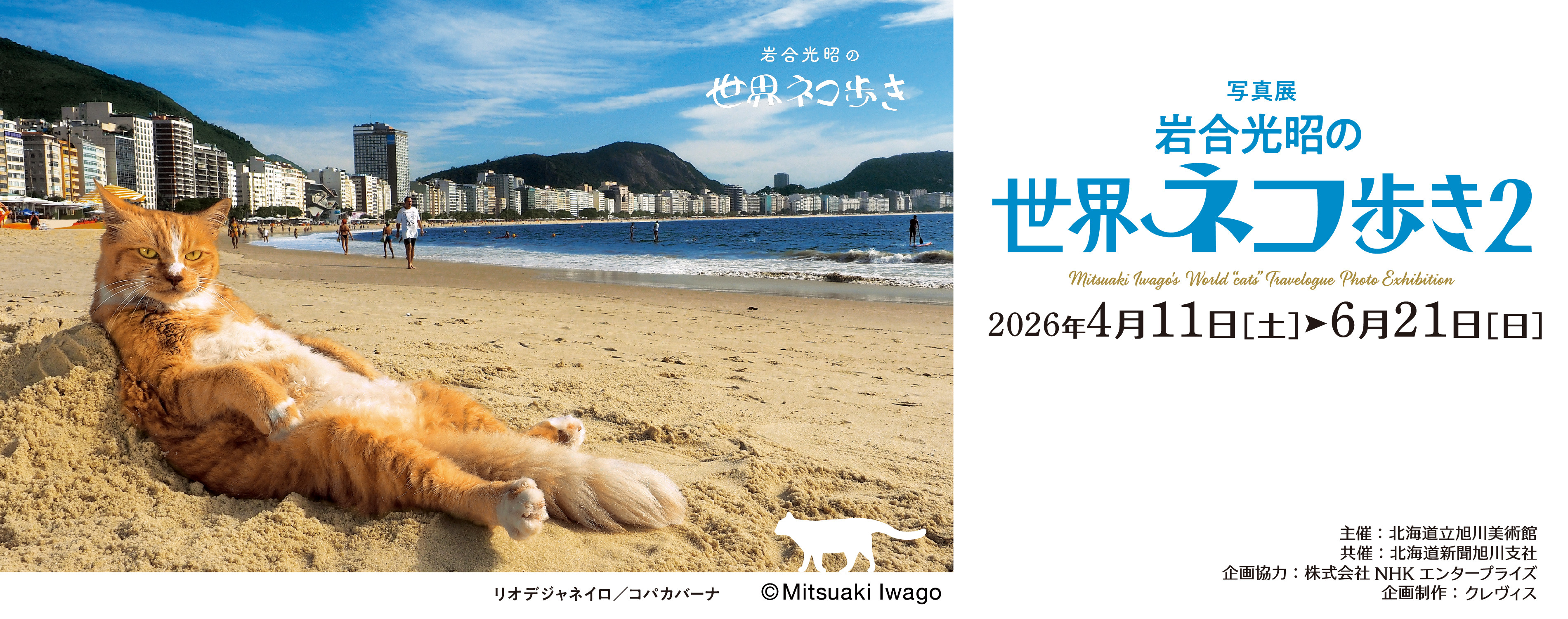 岩合光昭の世界ネコ歩き2