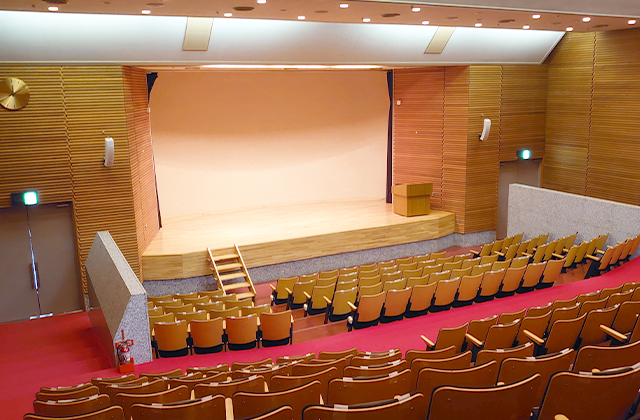 Lecture Hall (239 seats)