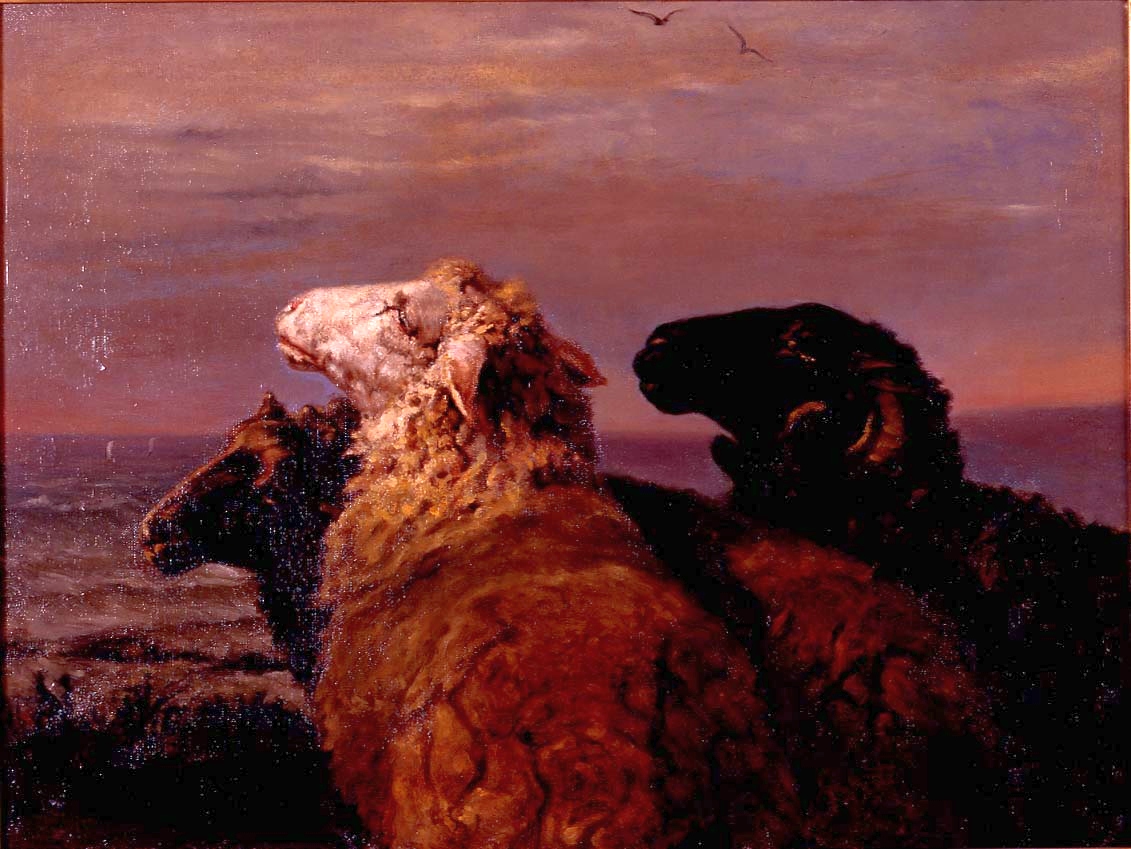 雅克・雷蒙・布拉斯卡薩(Jacques Raymond Brascassat)<br>《海邊的羊》19世紀中葉左右